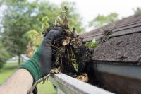 Regal Gutter Cleaning Melbourne image 1